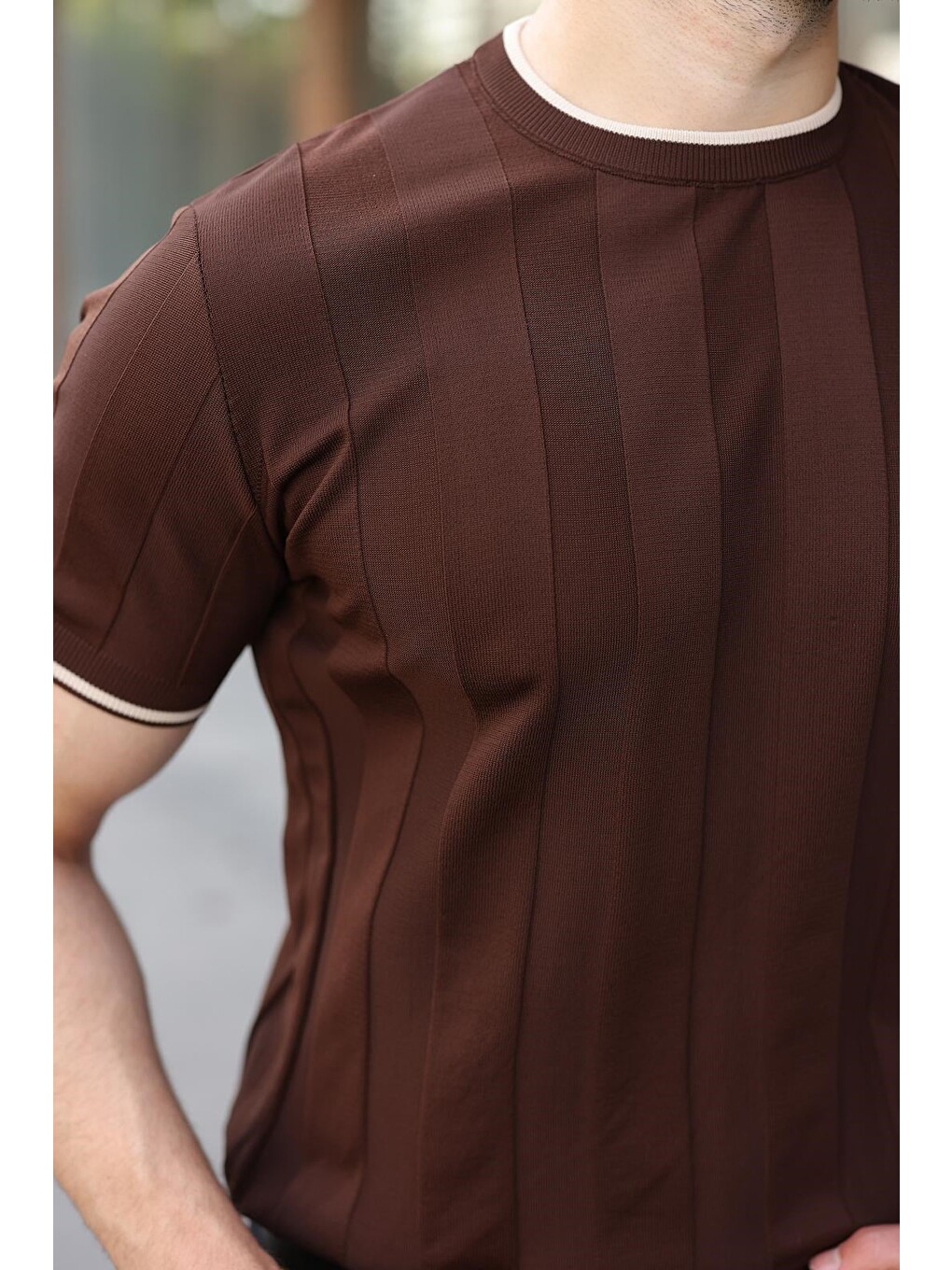 Kahverengi Bisiklet Yaka Regular Fit Triko Erkek Tişört E7487-1