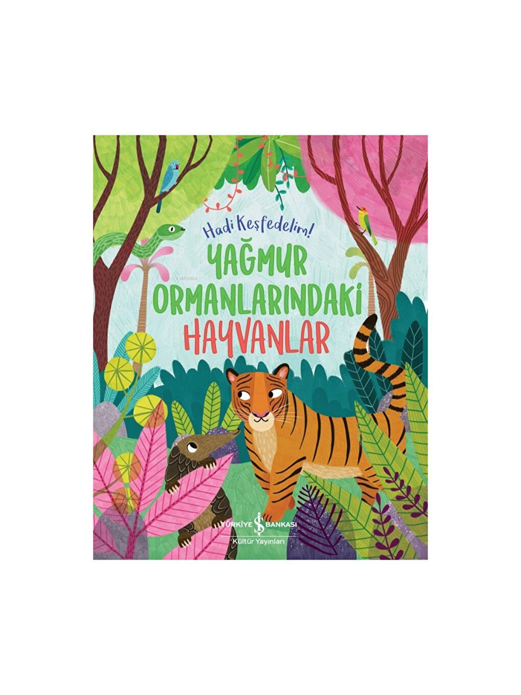Türkiye İş Bankası Kültür Yayınları Yağmur Ormanlarındaki Hayvanlar – Hadi Keşfedelim!