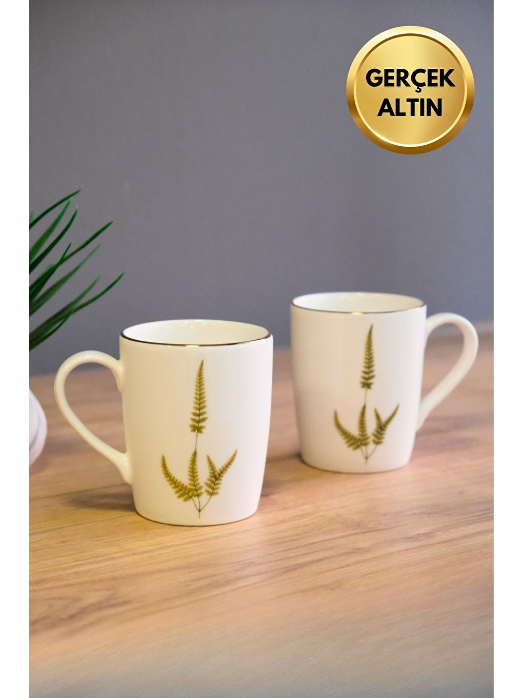 Karışık Porselen Natura Marinum Kulplu Mug Kupa 9cm 220ml 2 li