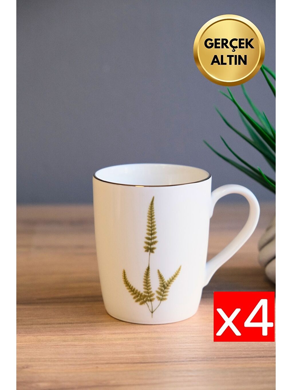 Karışık Porselen Natura Marinum Kulplu Mug Kupa 9cm 220ml 4 lü