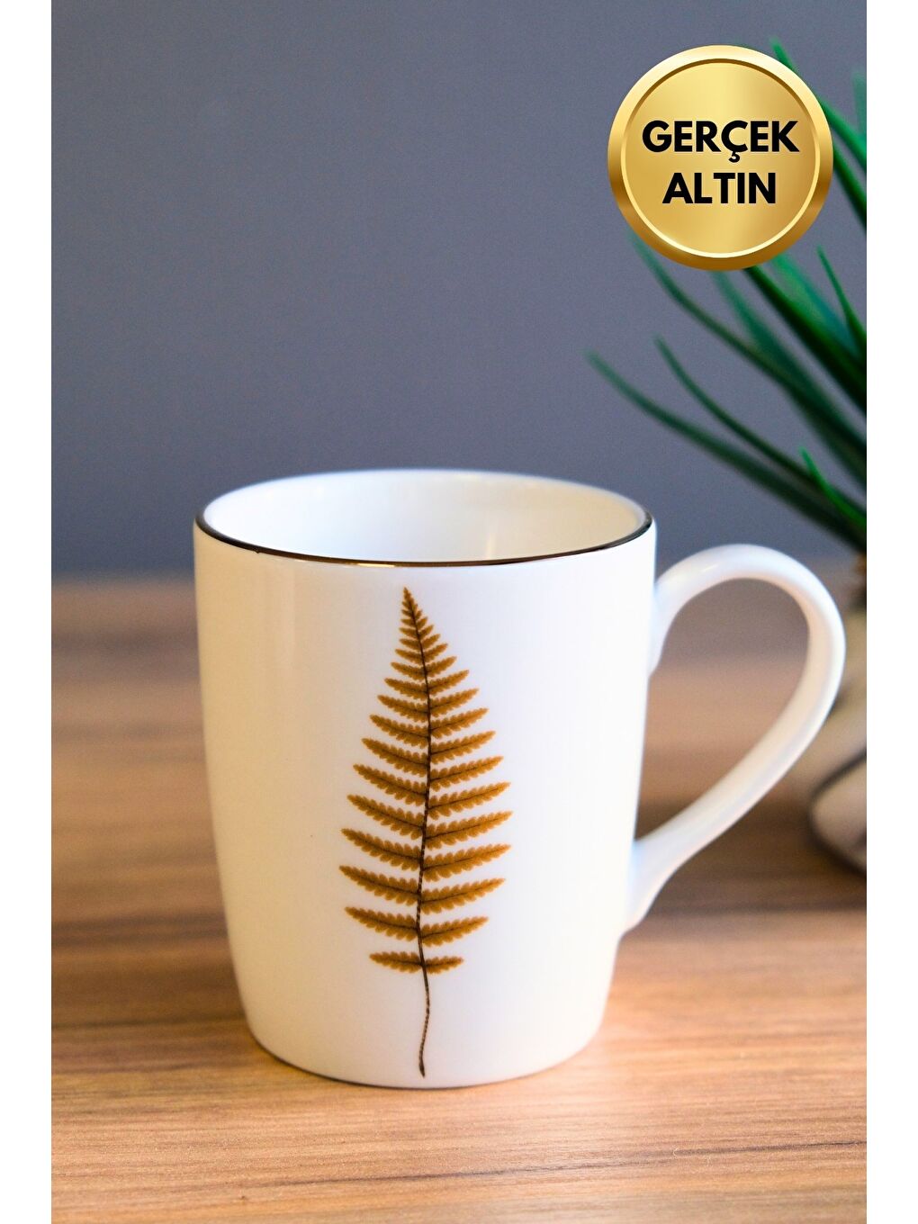 Karışık Porselen Natura Fern Kulplu Mug Kupa 9cm 220ml 4 lü-2