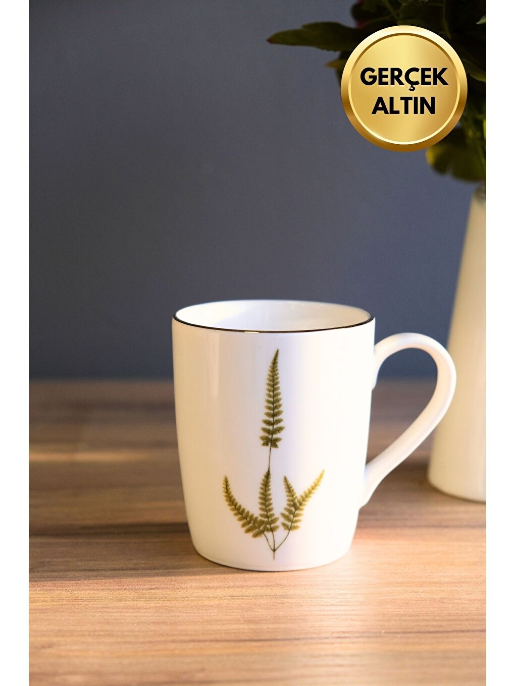 Karışık Porselen Natura Marinum Kulplu Mug Kupa 9cm 220ml 4 lü-2