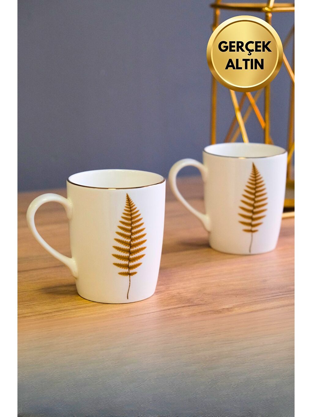 Karışık Porselen Natura Fern Kulplu Mug Kupa 9cm 220ml 2 li-1