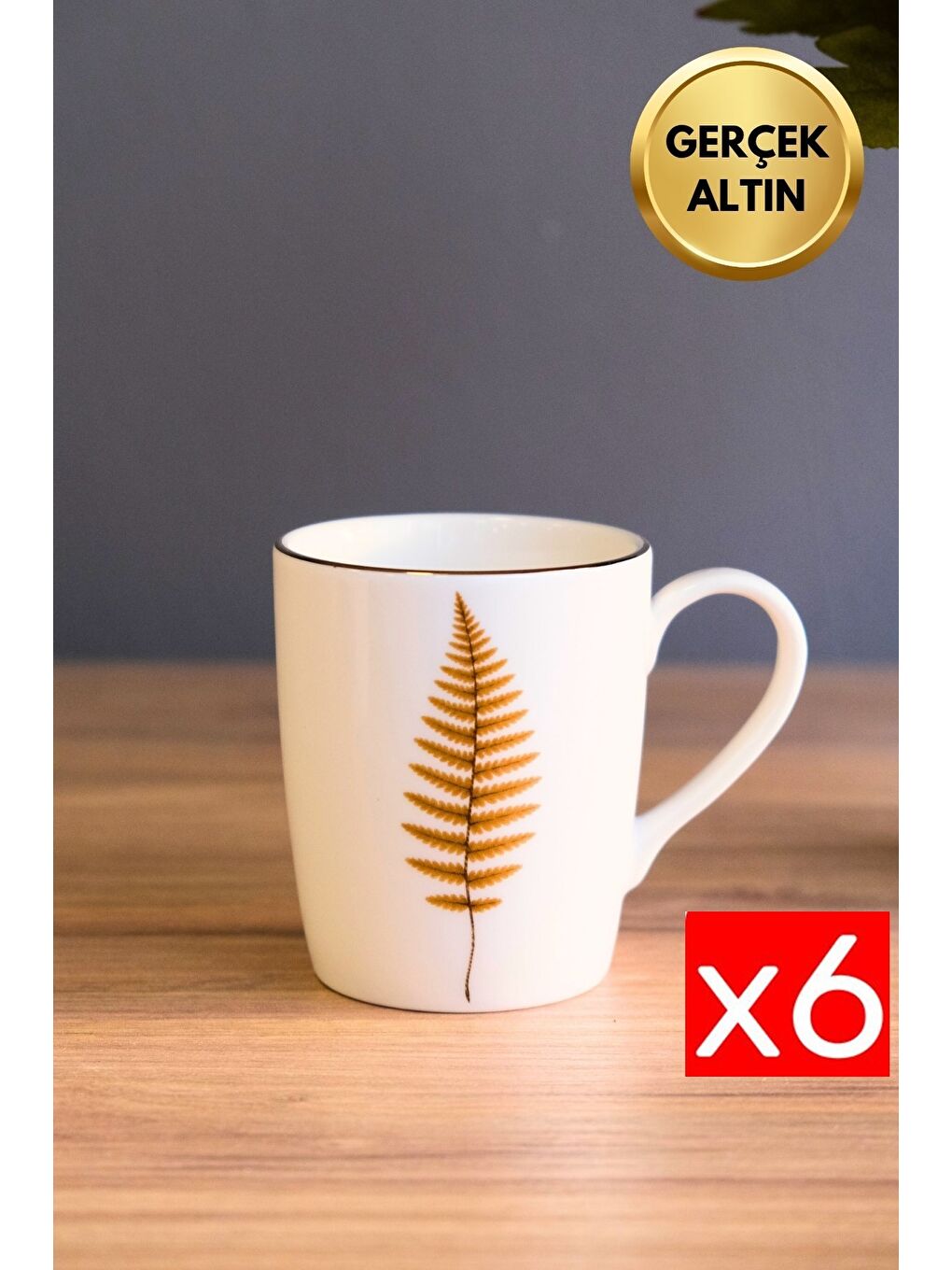 Karışık Porselen Natura Fern Kulplu Mug Kupa 9cm 220ml 6 lı