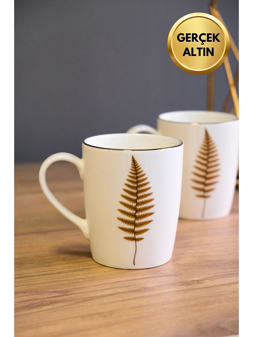 Karışık Porselen Natura Fern Kulplu Mug Kupa 9cm 220ml 2 li-3