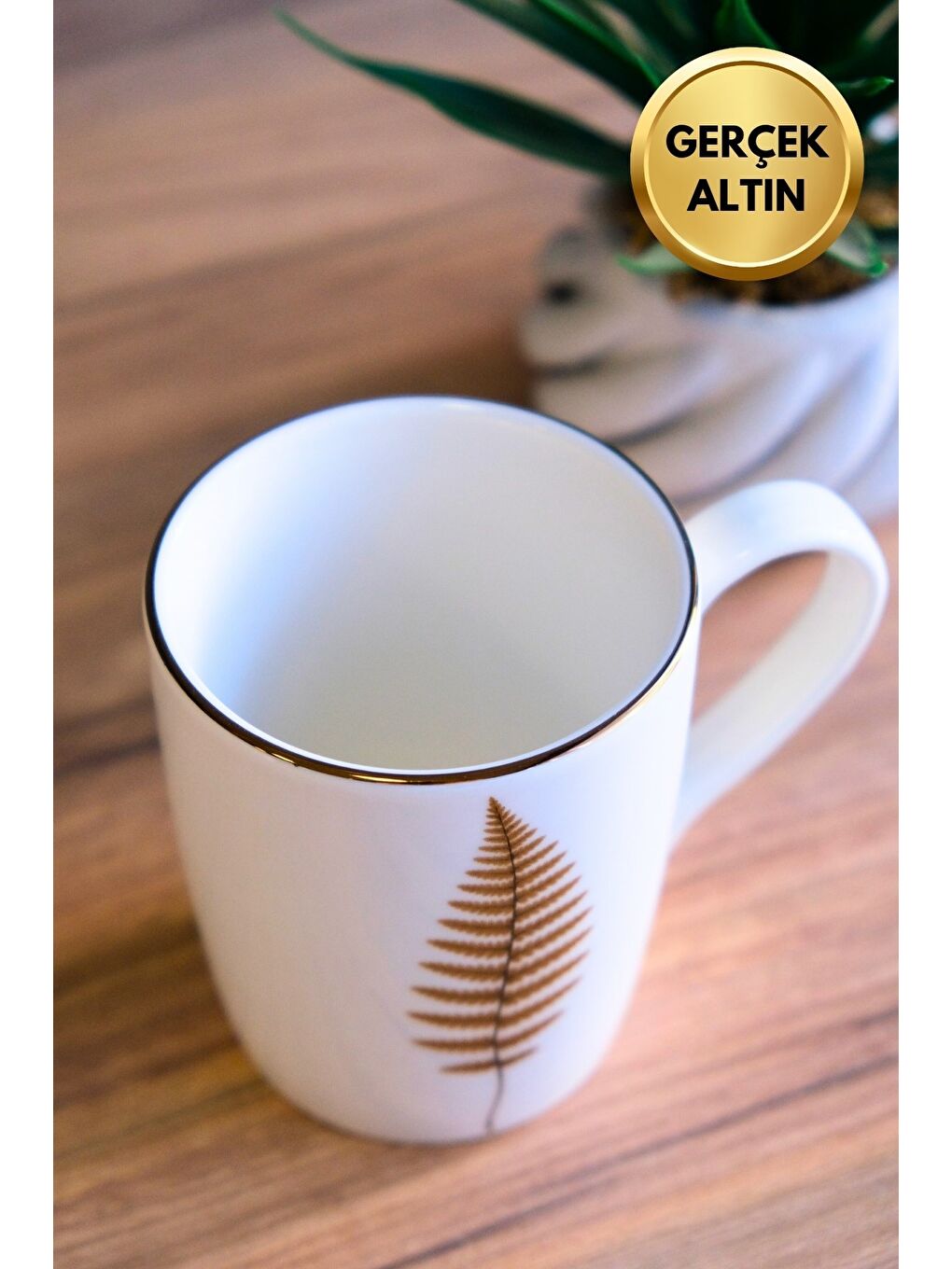 Karışık Porselen Natura Fern Kulplu Mug Kupa 9cm 220ml 6 lı-2