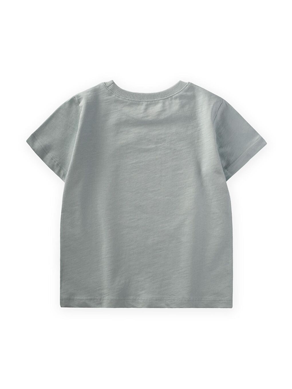 Yeşil Erkek Çocuk Baskılı Tişört-1