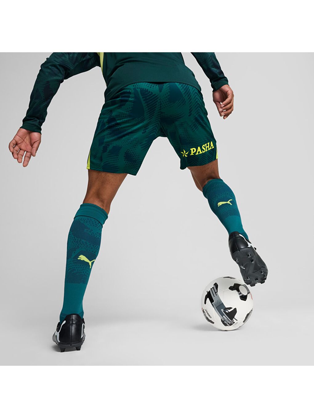 Yeşil Fenerbahçe S.K. 24/25 Erkek Kaleci Şort-2