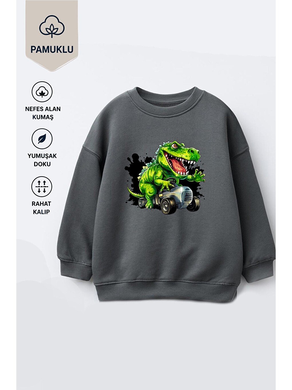 Antrasit Erkek Çocuk 3 İplik Kumaş Dinozor Baskılı Pamuklu Sweatshirt-2