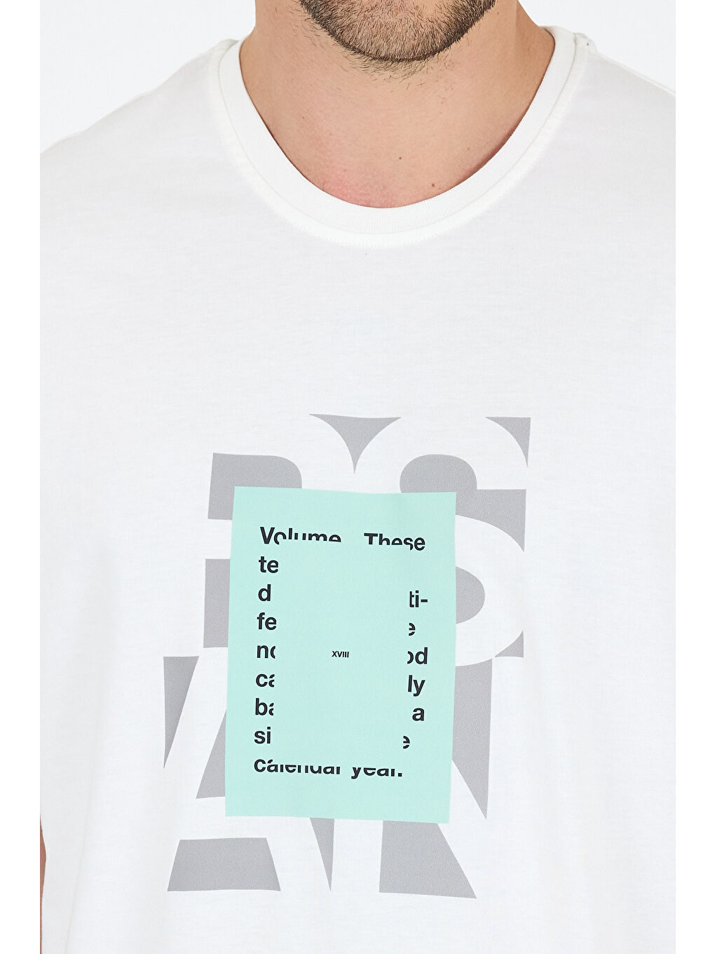 Ekru %100 Pamuk Bisiklet Yaka Baskılı Rahat Kesim, Nefes Alabilir Kumaş Erkek Tişört Basic Tişört 0102-2