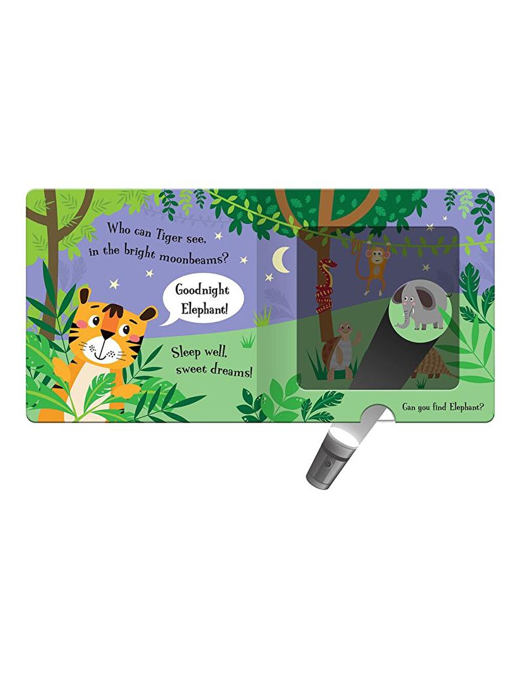 Goodnight Tiger - A Magic Torch Book-4