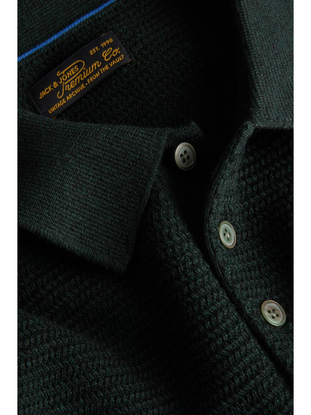 Yeşil Pamuklu Regular Fit Düğmeli Polo Yaka Kazak 12299904-1