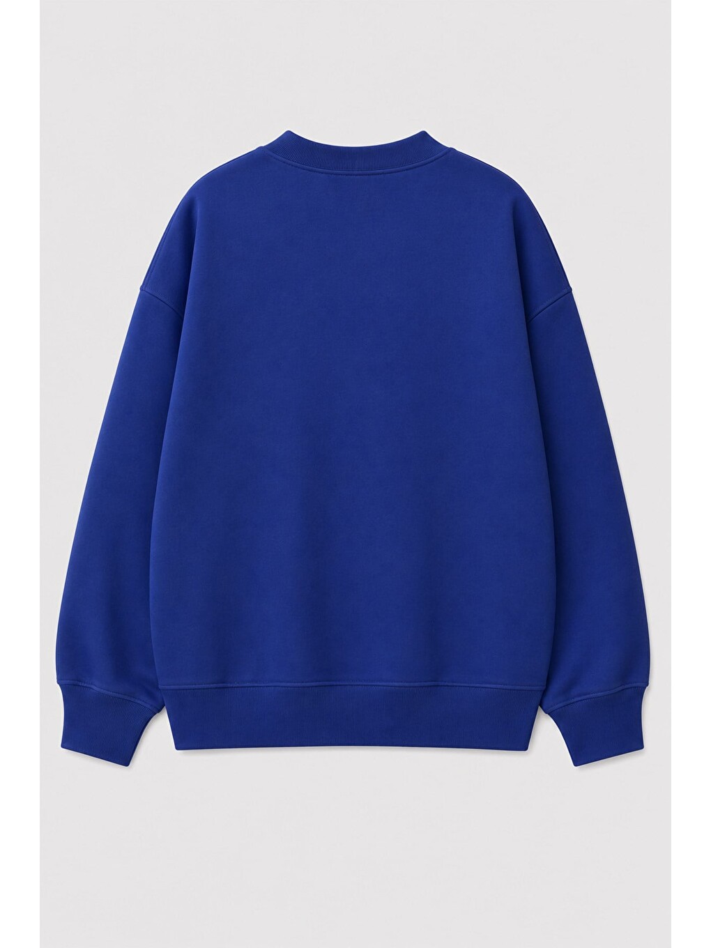 Lacivert Erkek Çocuk 3 İplik Kumaş Dinozor Baskılı Pamuklu Sweatshirt-1