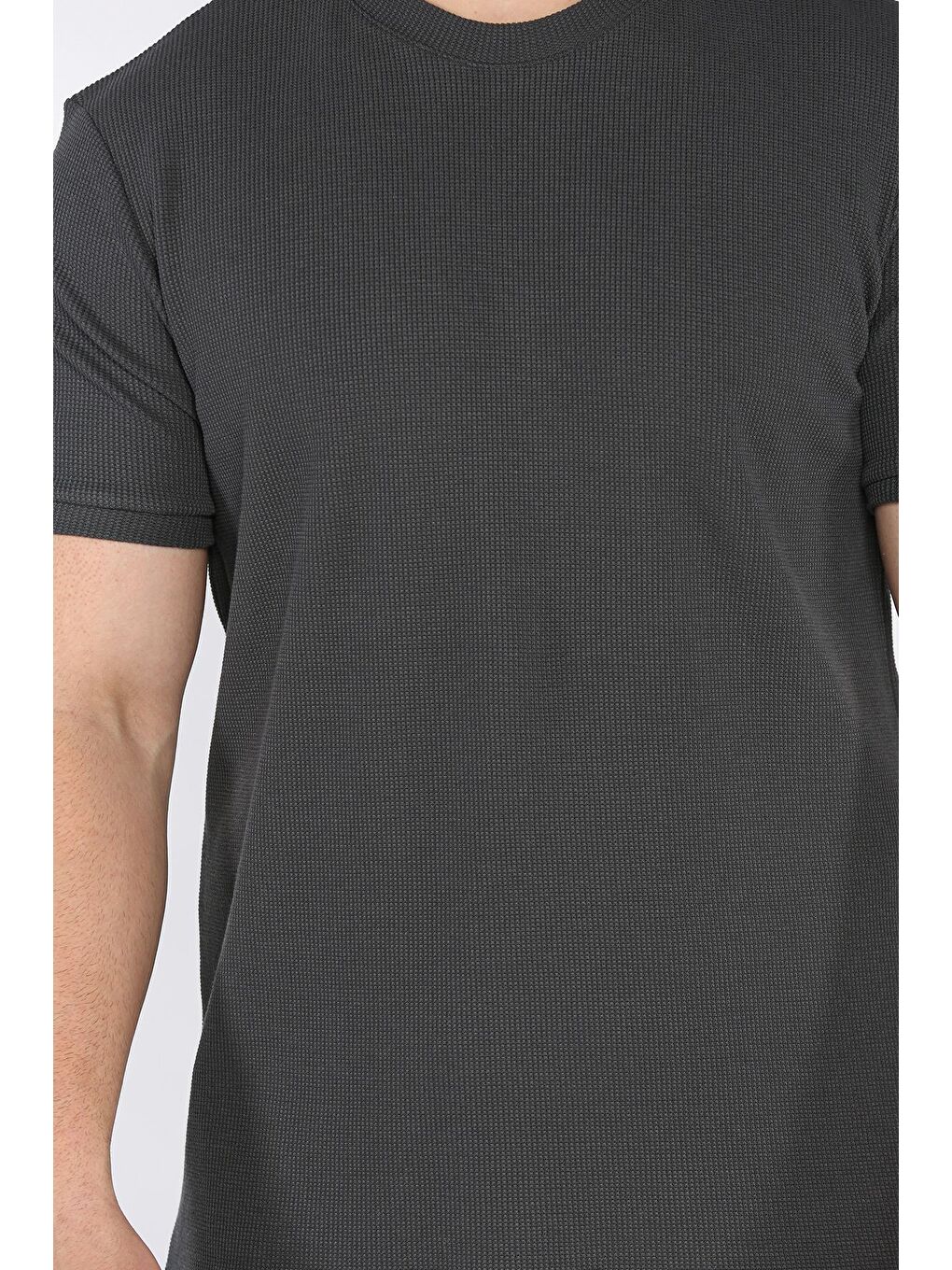 Gri Bisiklet Yaka Kendinden Desenli Erkek Tişört-3