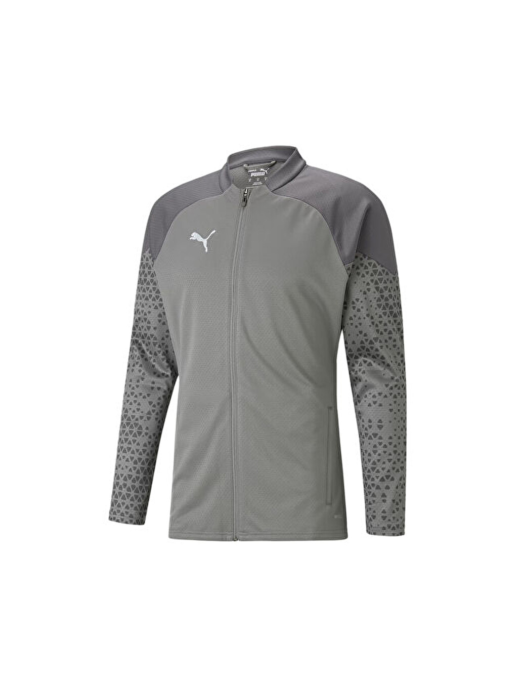 Teamcup Training Jacket Erkek Futbol Antrenman Ceketi 65798313 Gri