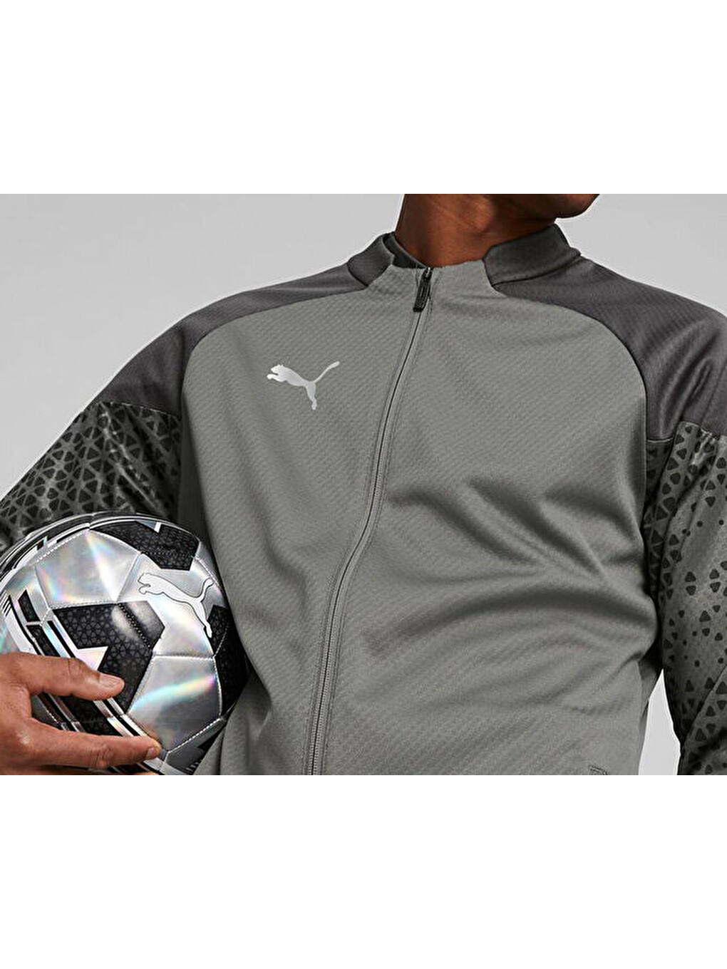 Teamcup Training Jacket Erkek Futbol Antrenman Ceketi 65798313 Gri-5