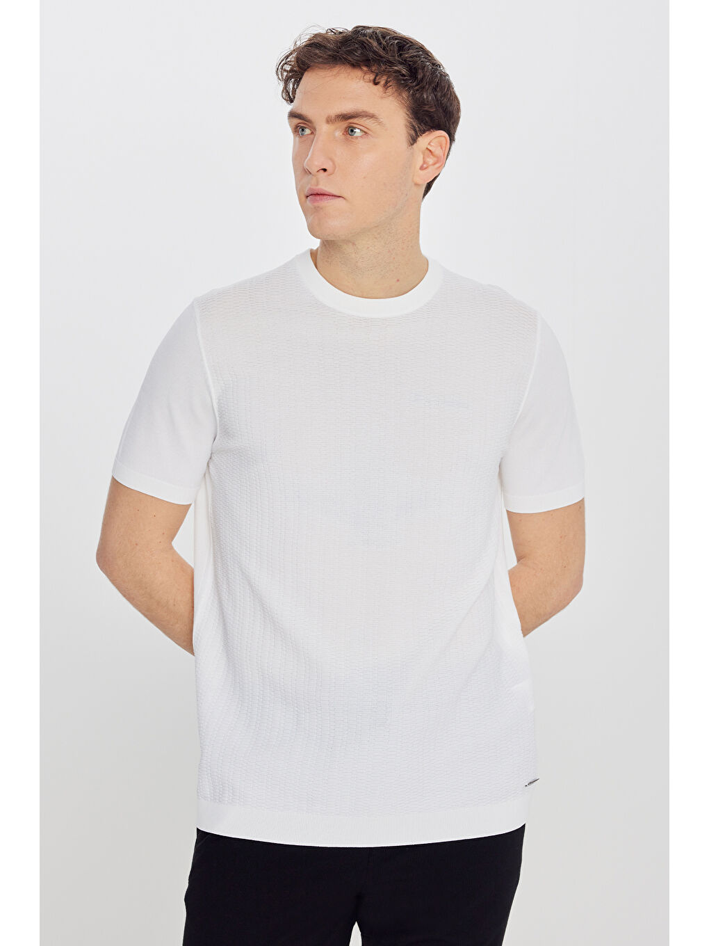 Erkek Ekru Standart Fit Normal Kesim Bisiklet Yaka Jakarlı Triko Tişört-1