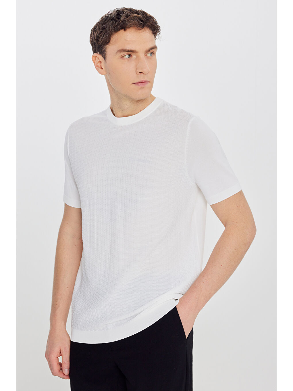 Erkek Ekru Standart Fit Normal Kesim Bisiklet Yaka Jakarlı Triko Tişört-2