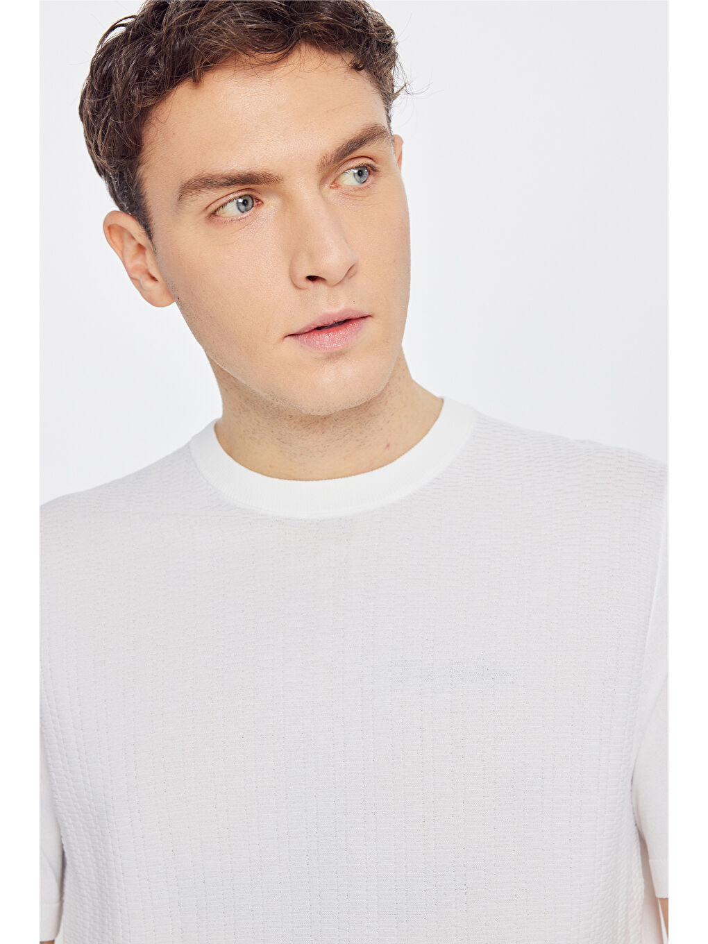 Erkek Ekru Standart Fit Normal Kesim Bisiklet Yaka Jakarlı Triko Tişört-3