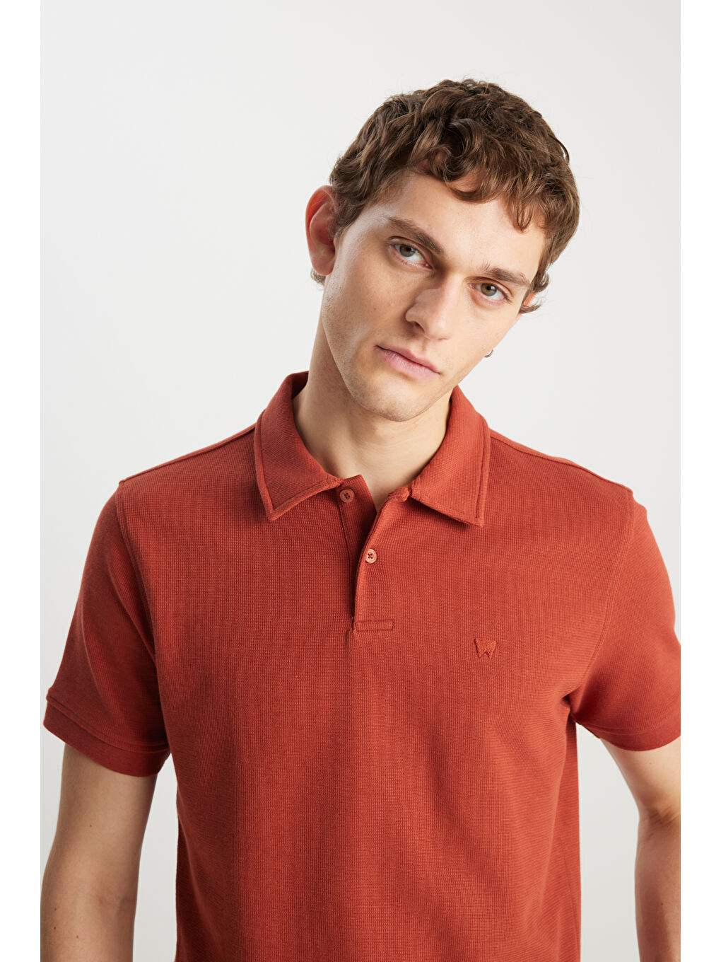 Bordo Regular Fit Normal Kesim Kiremit Rengi Polo Yaka Tişört-3