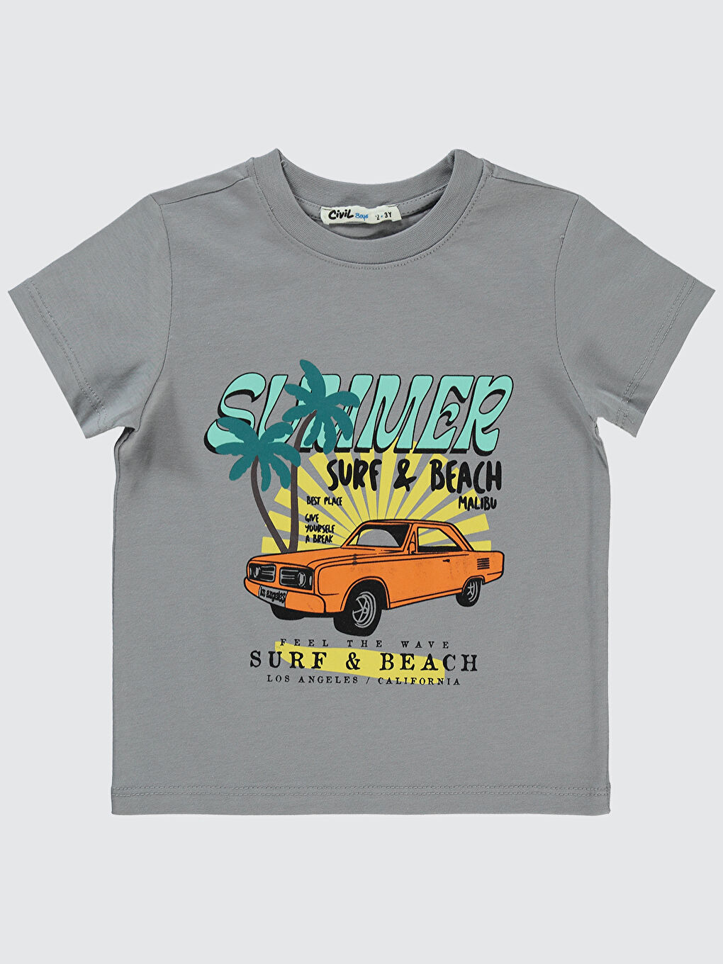 Boys Erkek Çocuk Tişört 2-5 Yaş Gri