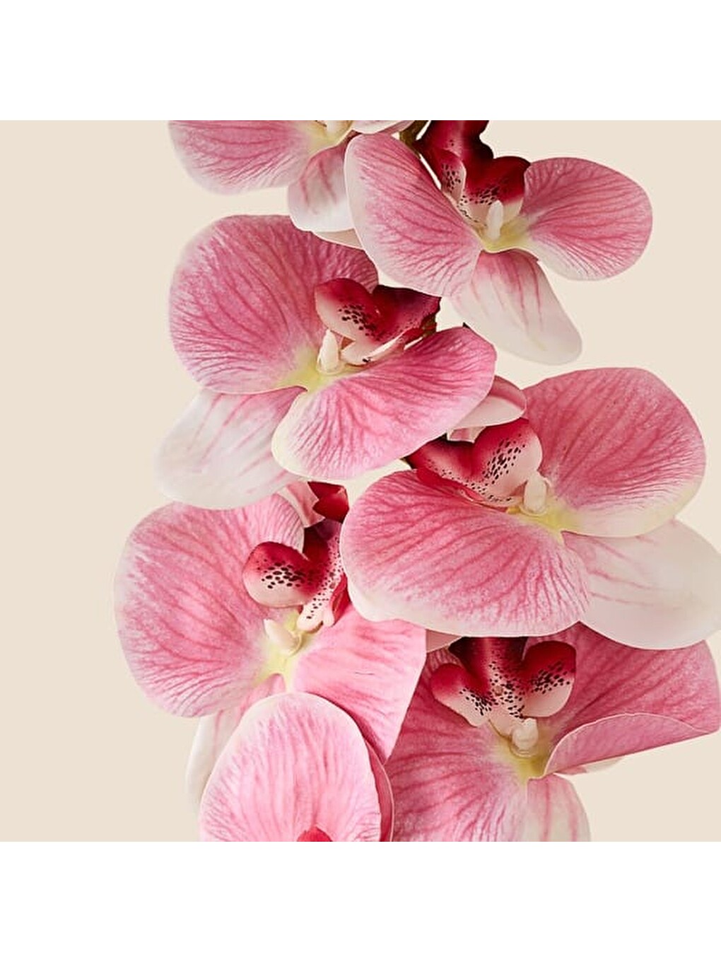 Deco Orkide Yapay Dal Çiçek - Pembe - 104 cm-1