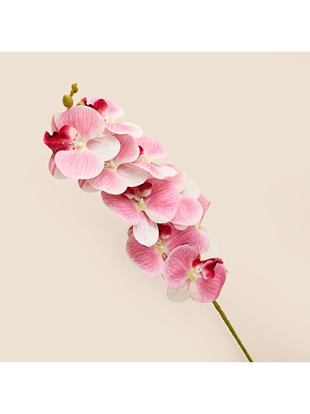Deco Orkide Yapay Dal Çiçek - Pembe - 104 cm-2