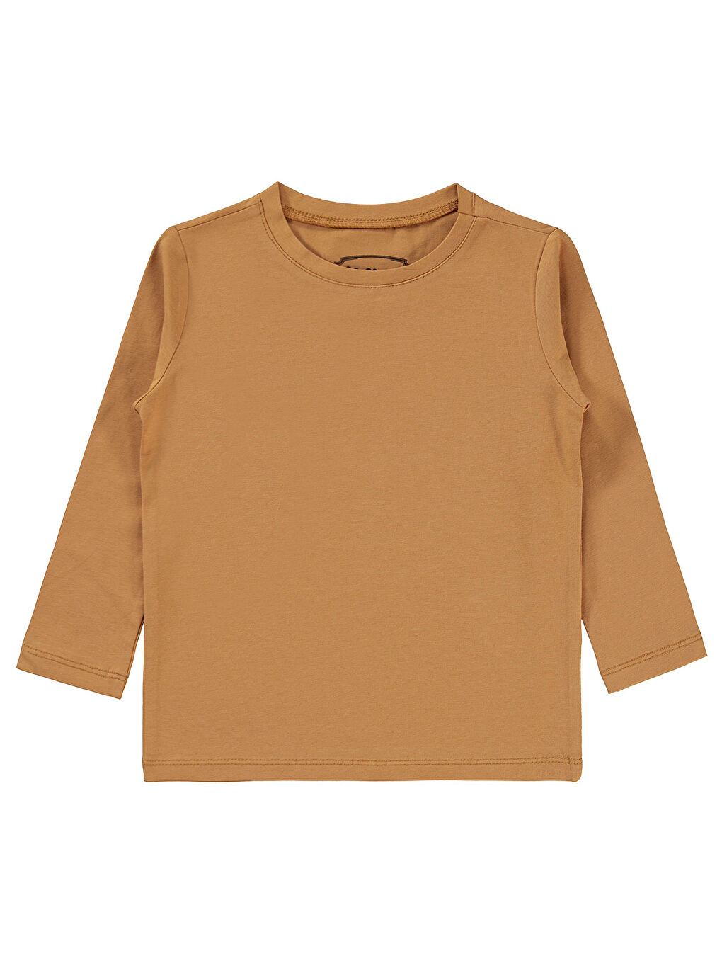 Kahverengi Boys Erkek Çocuk Sweatshirt 2-5 Yaş Tarçın
