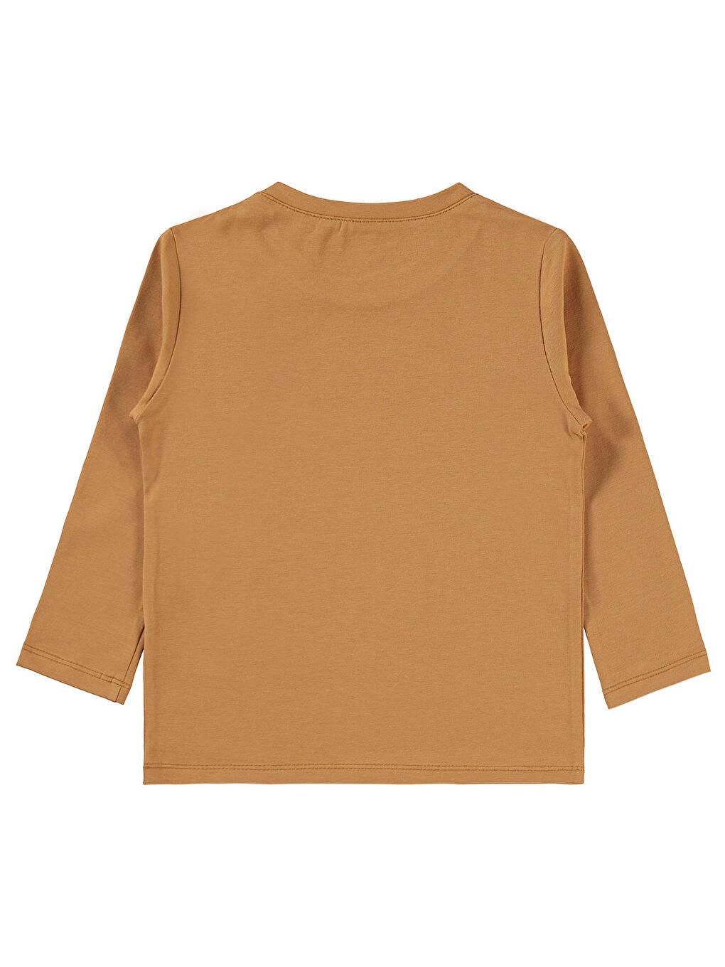 Kahverengi Boys Erkek Çocuk Sweatshirt 2-5 Yaş Tarçın-1