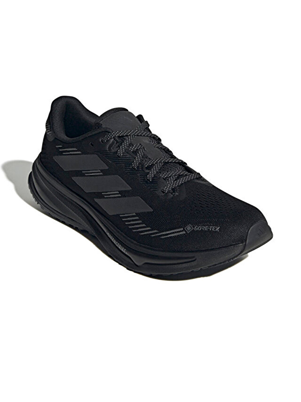 Supernova Rise Gtx M Erkek Outdoor Koşu Ayakkabısı Jp7763 Siyah-2