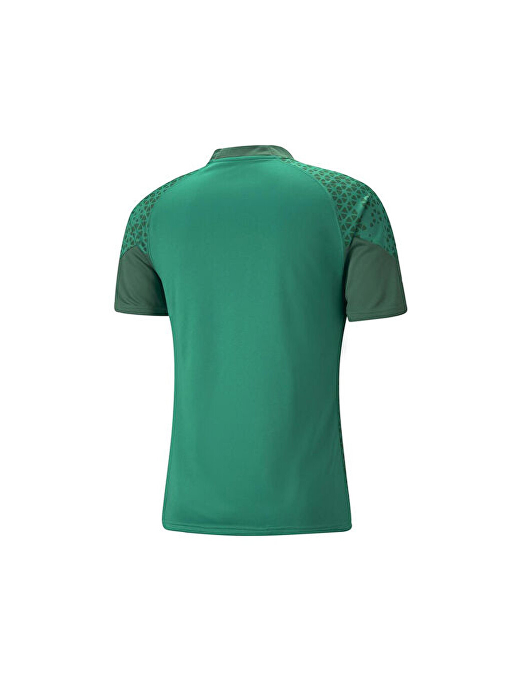 Teamcup Training Jersey Erkek Futbol Tişörtü 65798405 Yeşil-1