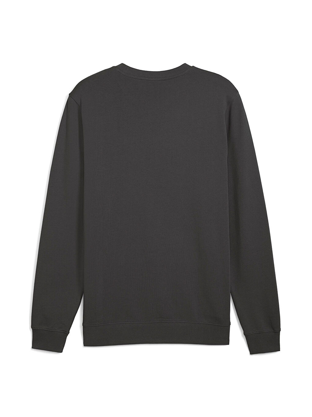 Essentials Elevated Crew Erkek Gri Bisiklet Yaka Sweatshirt-4