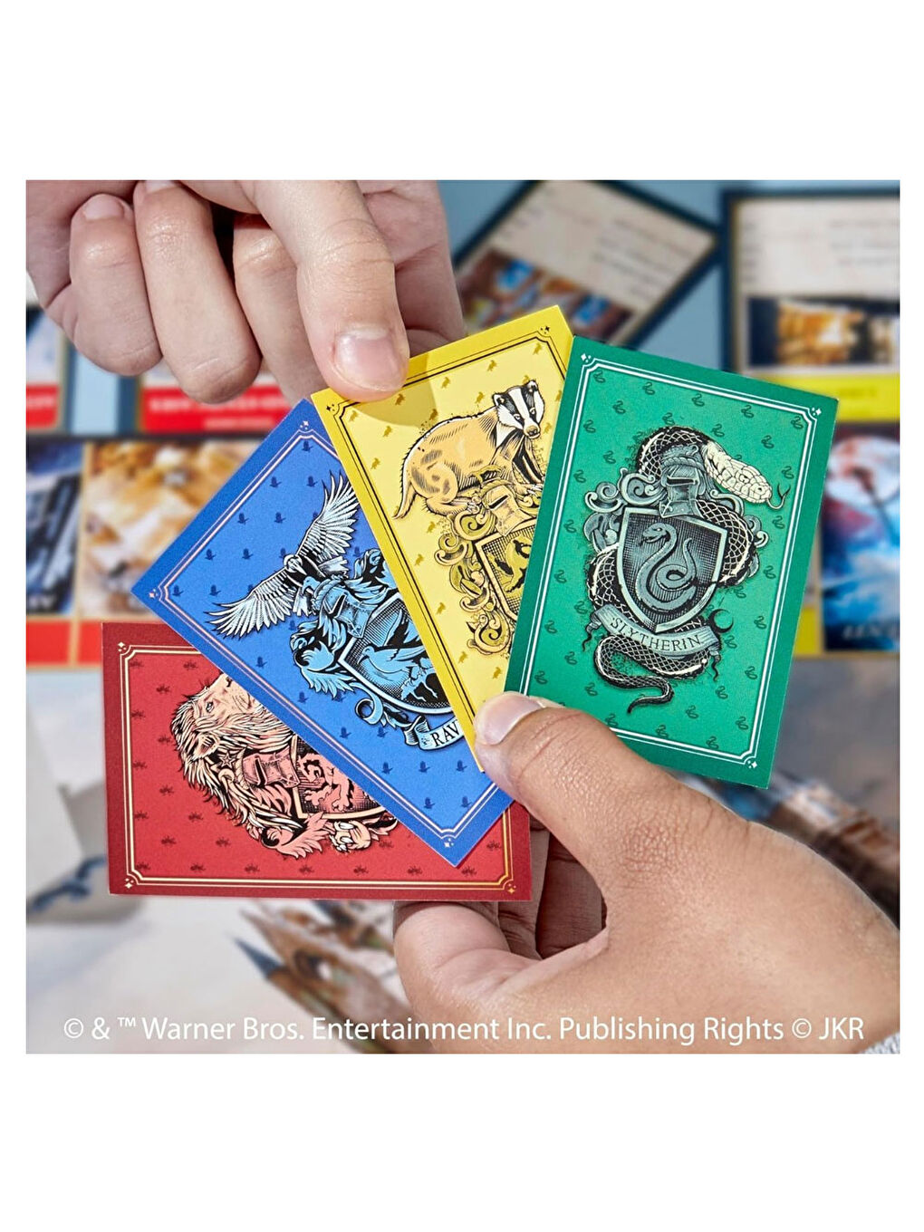 Harry Potter F9422-6