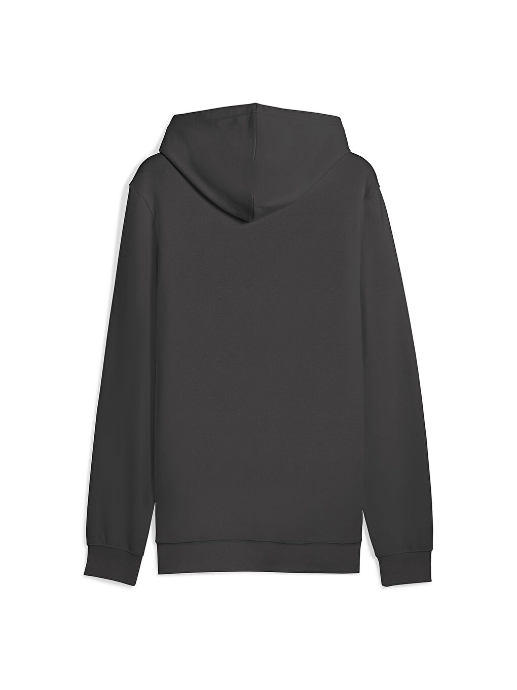 Essentials Elevated Erkek Gri Kapüşonlu Sweatshirt-1