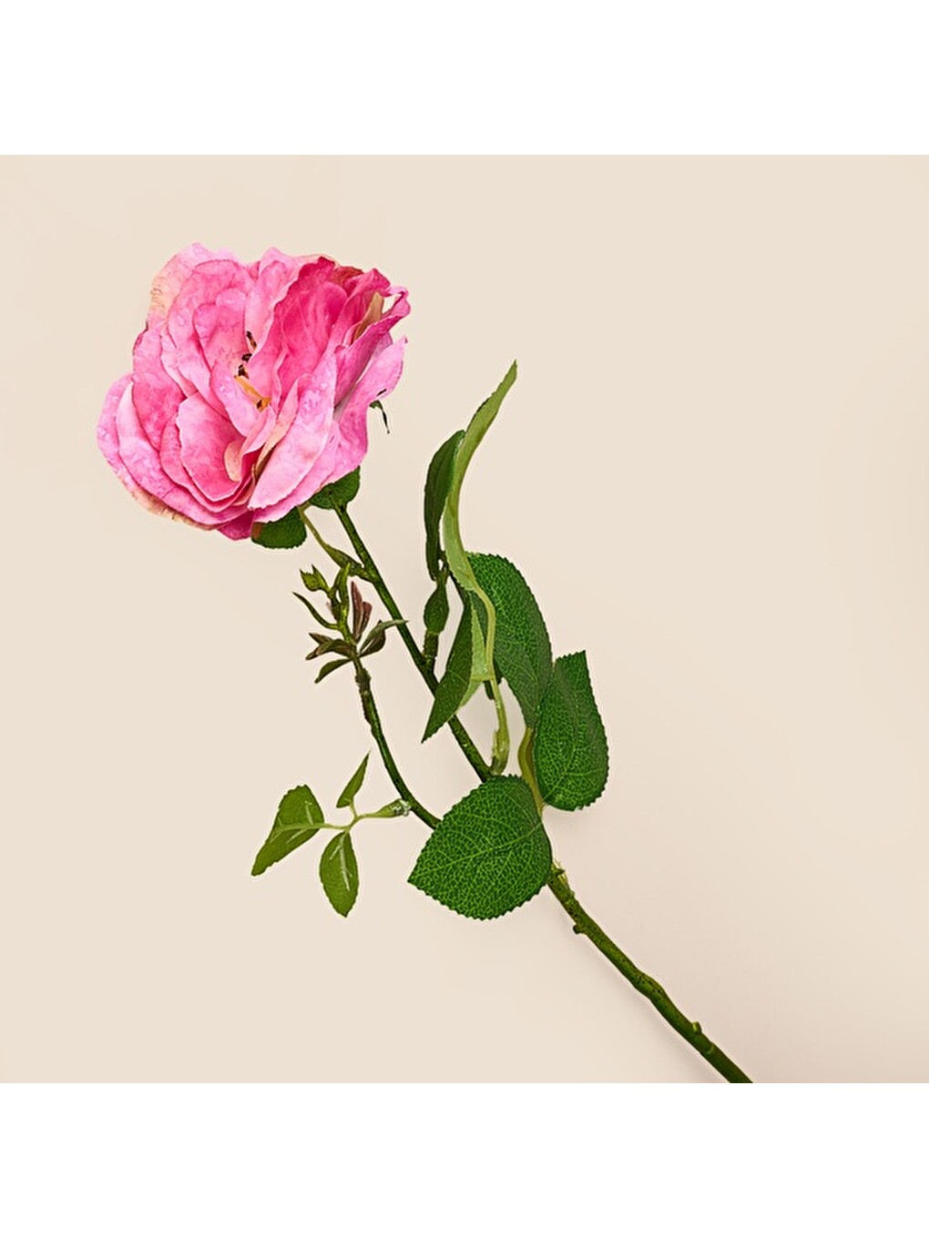 Deco Katmerli Gül Yapay Dal Çiçek - Pembe - 50 cm-1