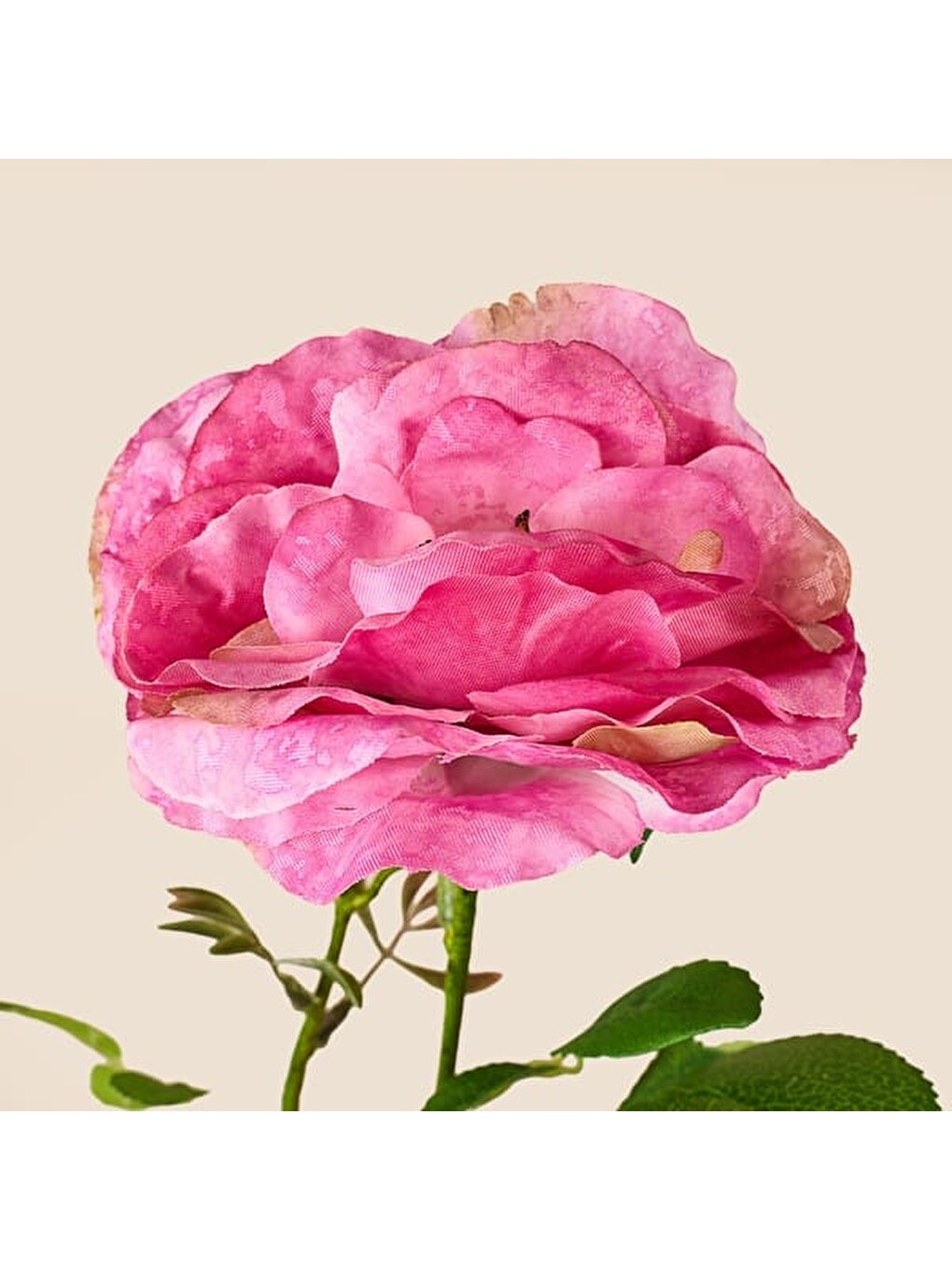 Deco Katmerli Gül Yapay Dal Çiçek - Pembe - 50 cm-2