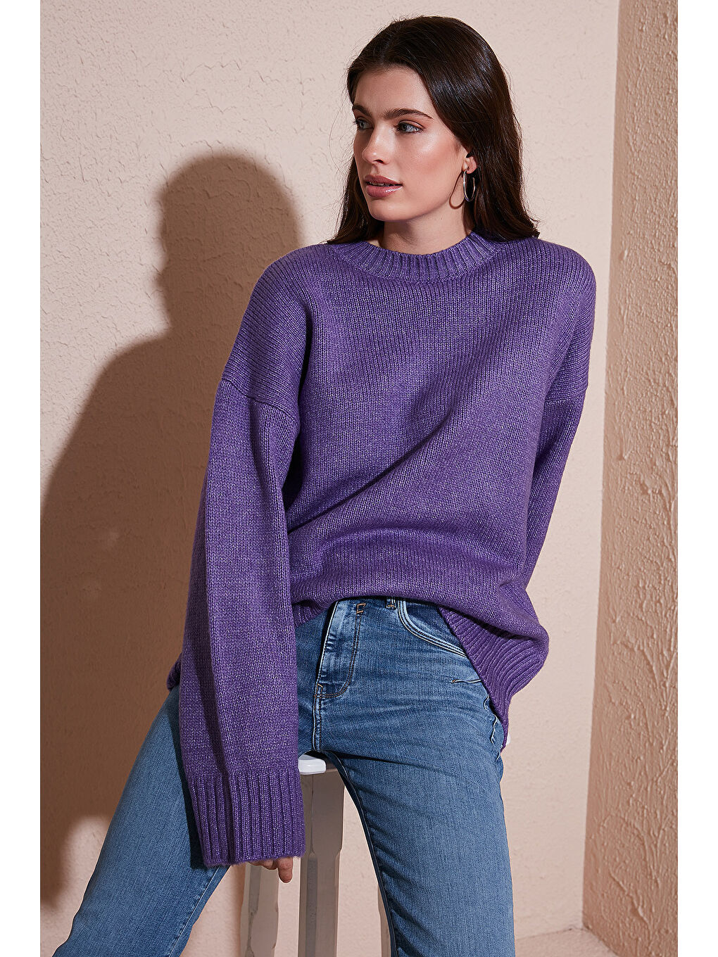 Mor Regular Fit Bisiklet Yaka Basic Triko Kazak 4616213-1