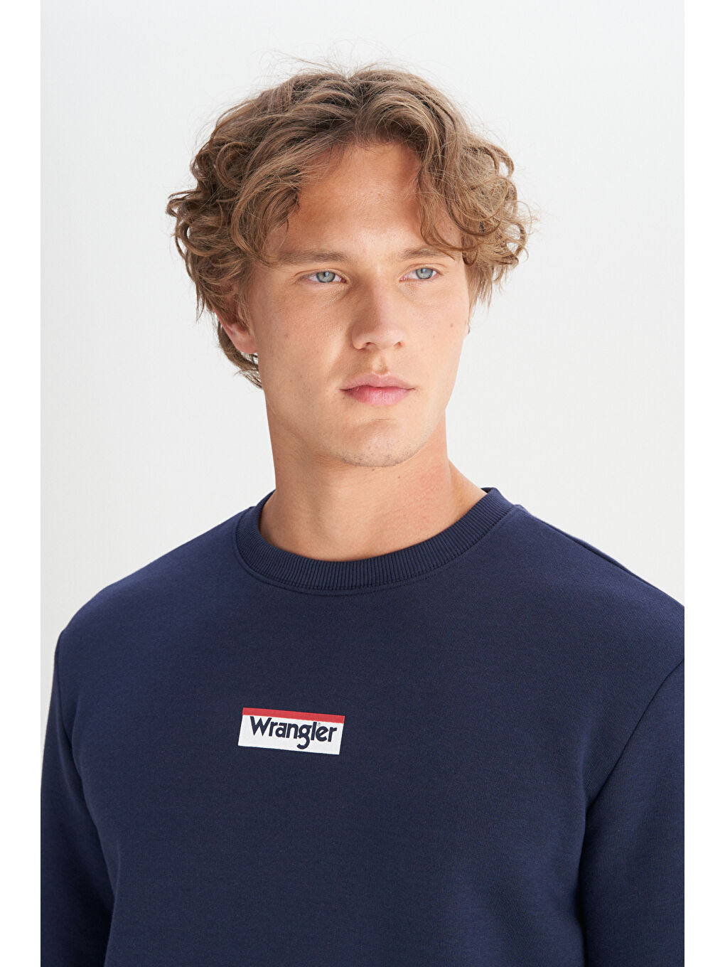 Regular Fit Normal Kesim Bisiklet Yaka İçi Polarlı Lacivert Sweatshirt-3