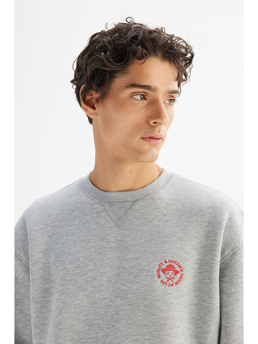 Gri Pamuklu İçi Polarlı Regular Fit Normal Kesim Bisiklet Yaka Baskılı Sweatshirt-3