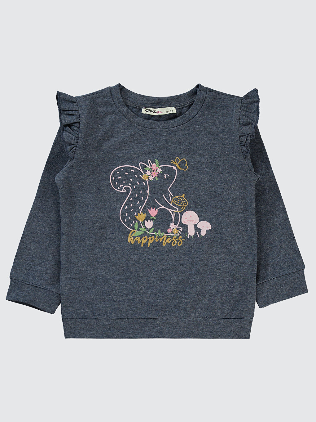Gri Girls Kız Çocuk Sweatshirt 2-5 Yaş Füme