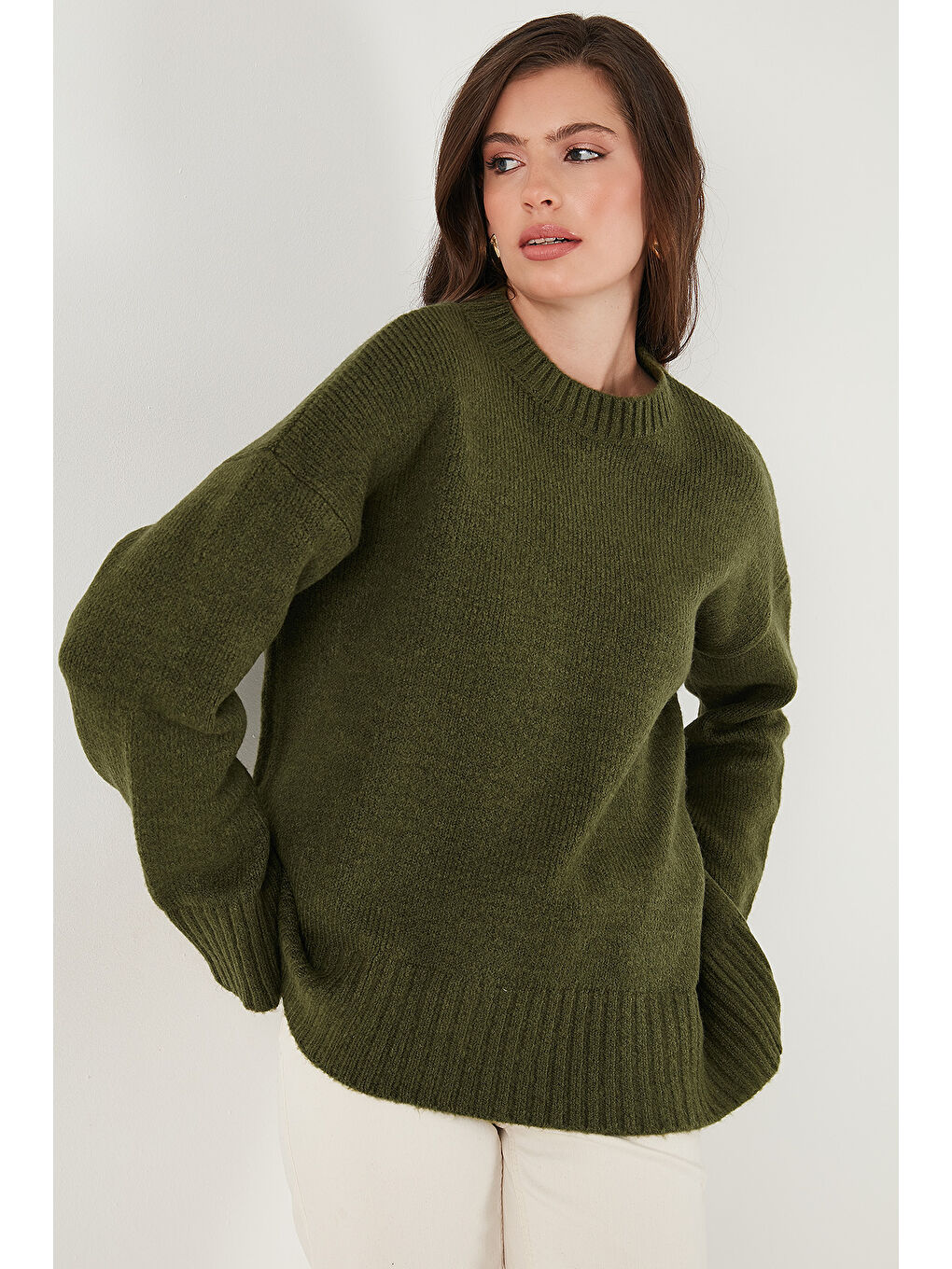 Haki Regular Fit Bisiklet Yaka Basic Triko Kazak 4616213-4