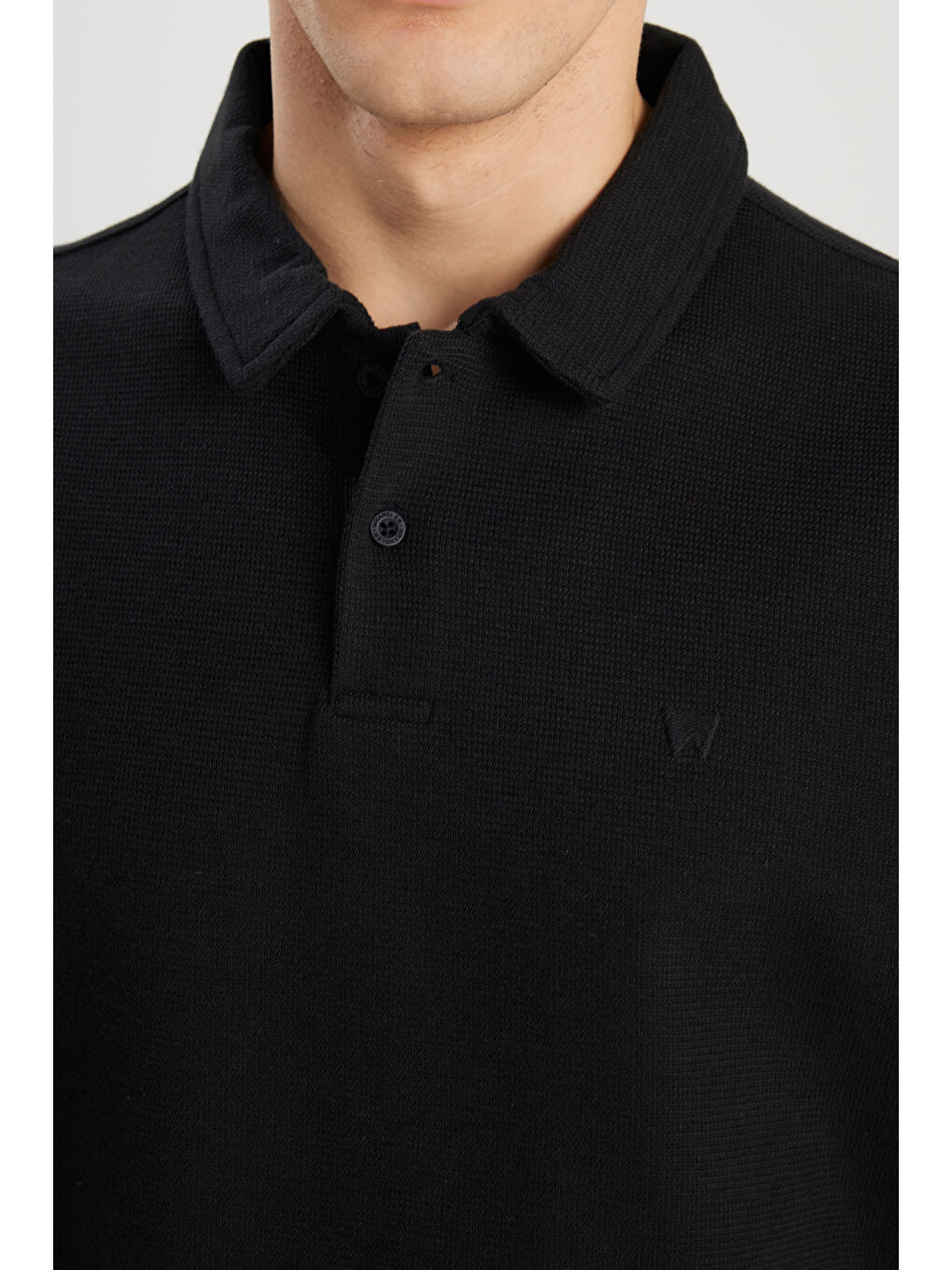 Regular Fit Normal Kesim Siyah Polo Yaka Tişört-4