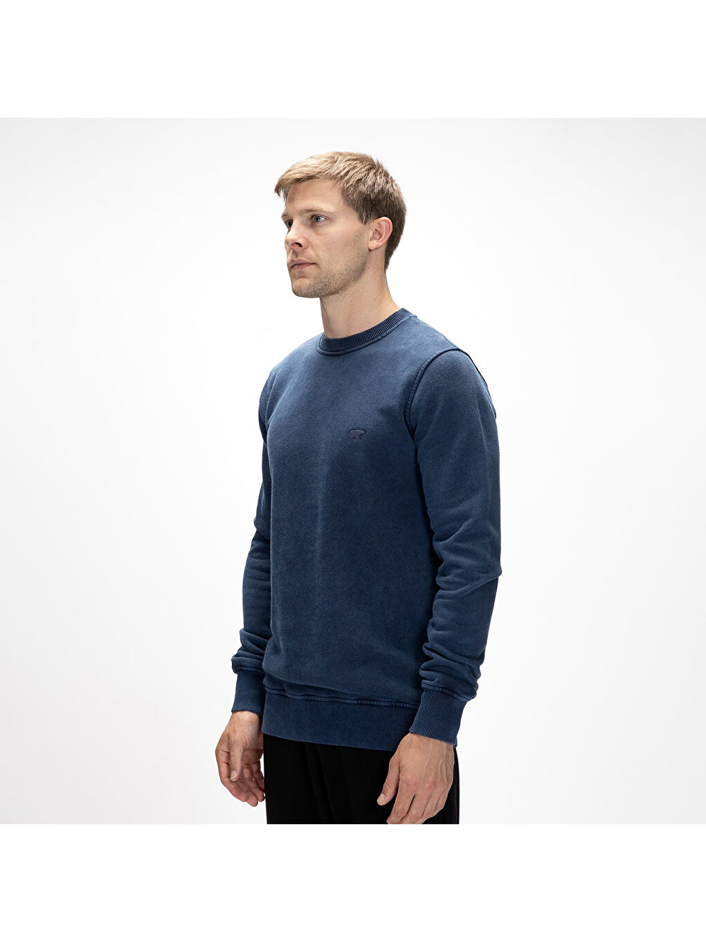 Dab Erkek Lacivert Bisiklet Yaka Sweatshirt-2