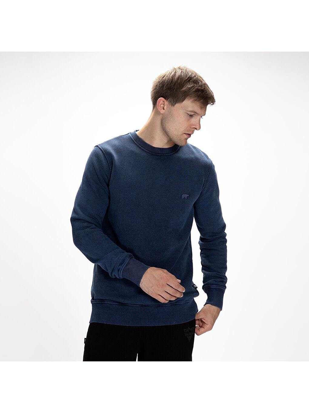 Dab Erkek Lacivert Bisiklet Yaka Sweatshirt-4