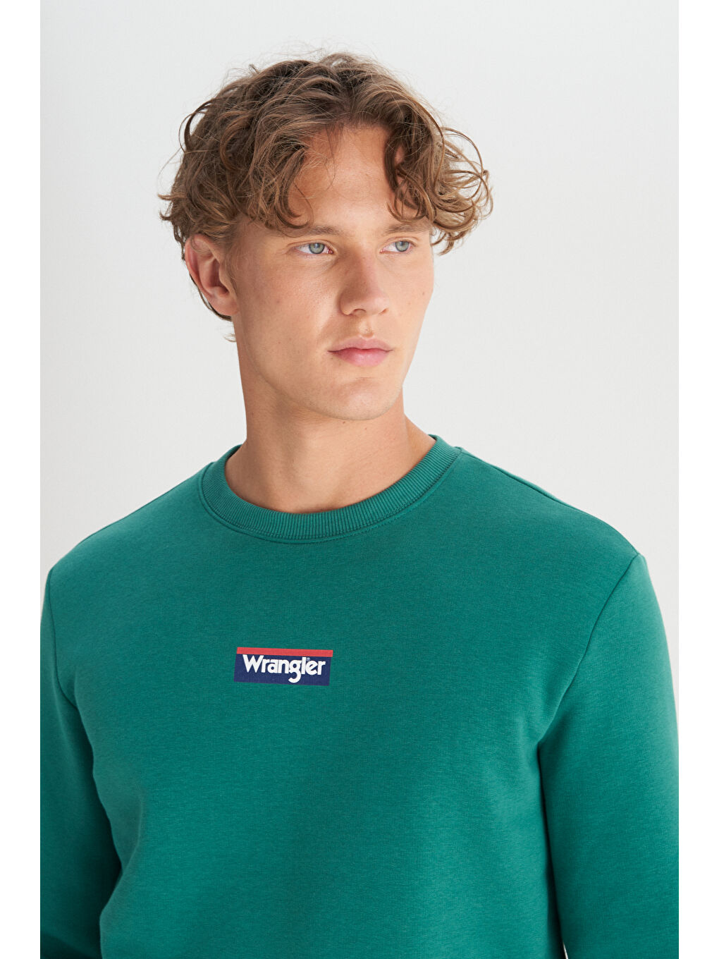 Regular Fit Normal Kesim Bisiklet Yaka İçi Polarlı Yeşil Sweatshirt-3