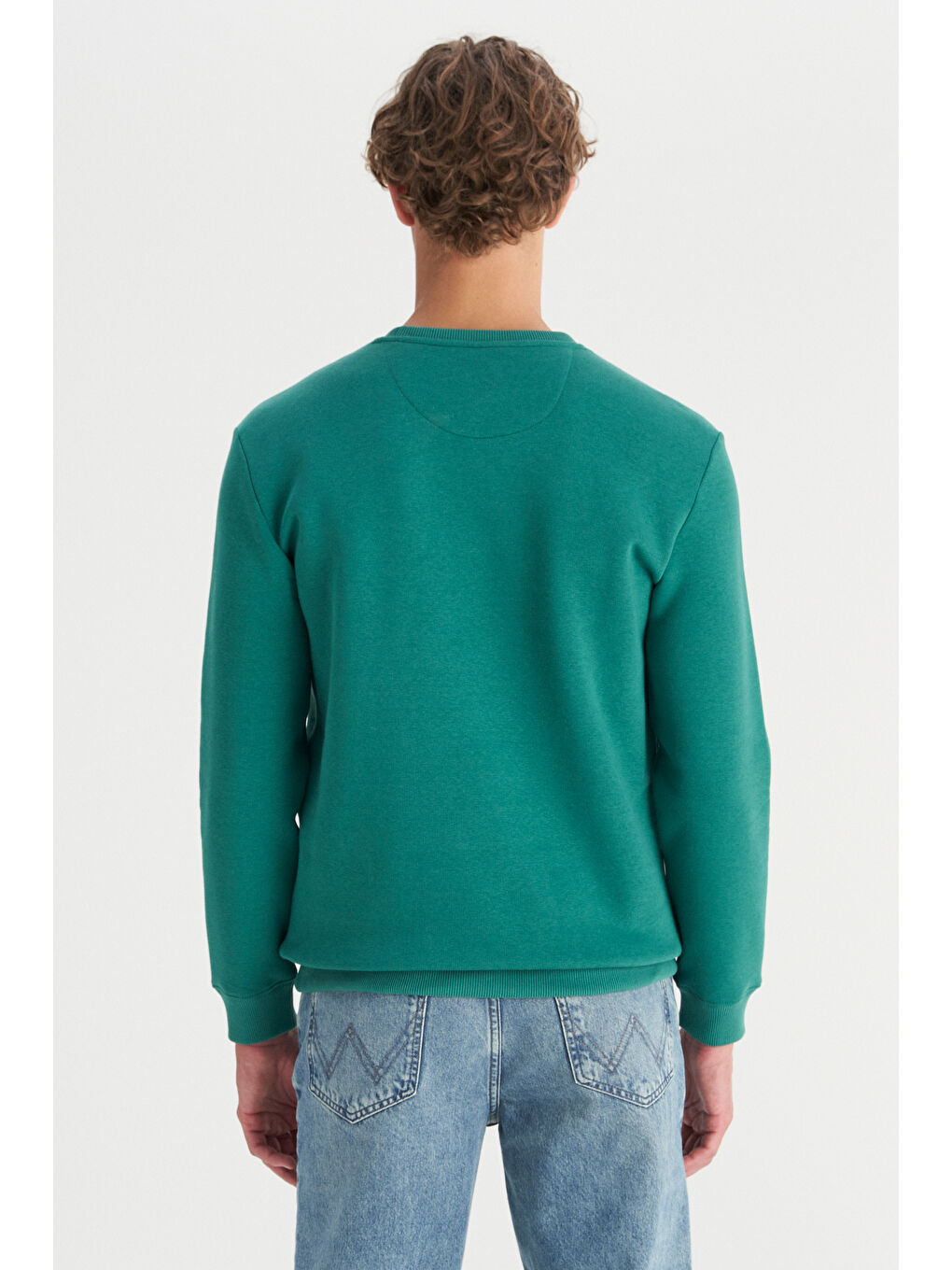 Regular Fit Normal Kesim Bisiklet Yaka İçi Polarlı Yeşil Sweatshirt-4