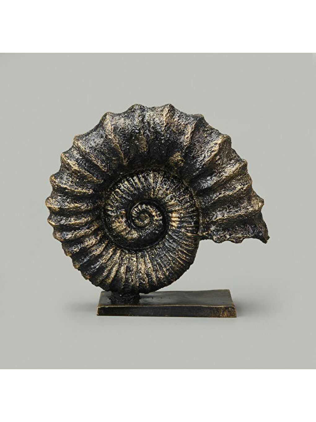 Sarı Deco Deniz Kabuğu Dekor - Gold / Siyah - 30 cm