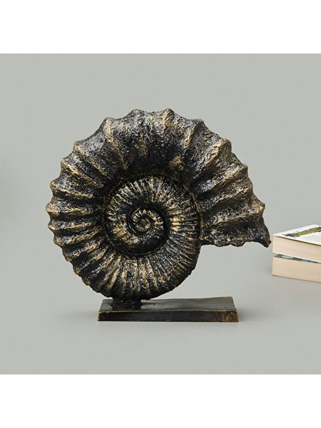 Sarı Deco Deniz Kabuğu Dekor - Gold / Siyah - 30 cm-1