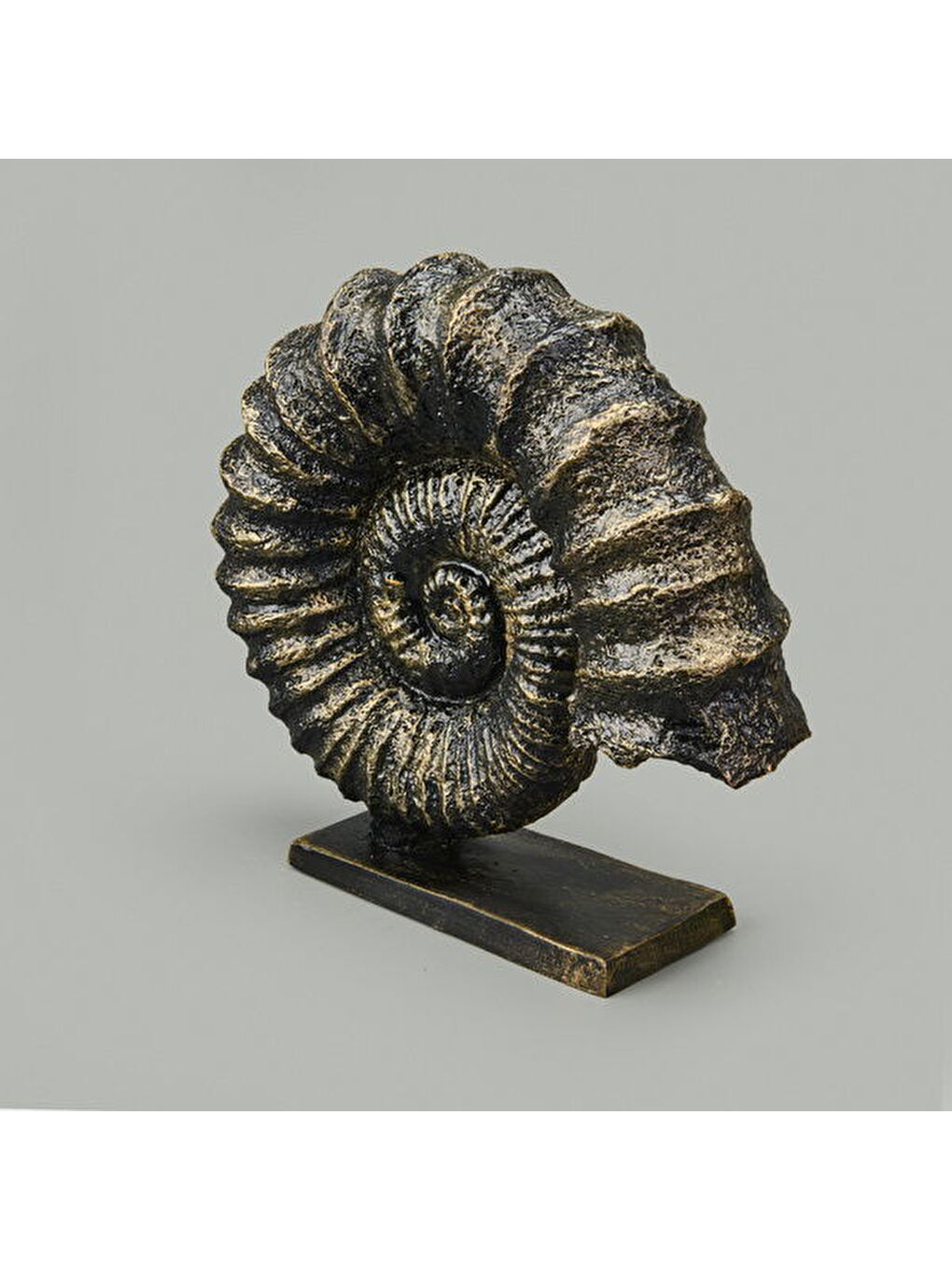 Sarı Deco Deniz Kabuğu Dekor - Gold / Siyah - 30 cm-2