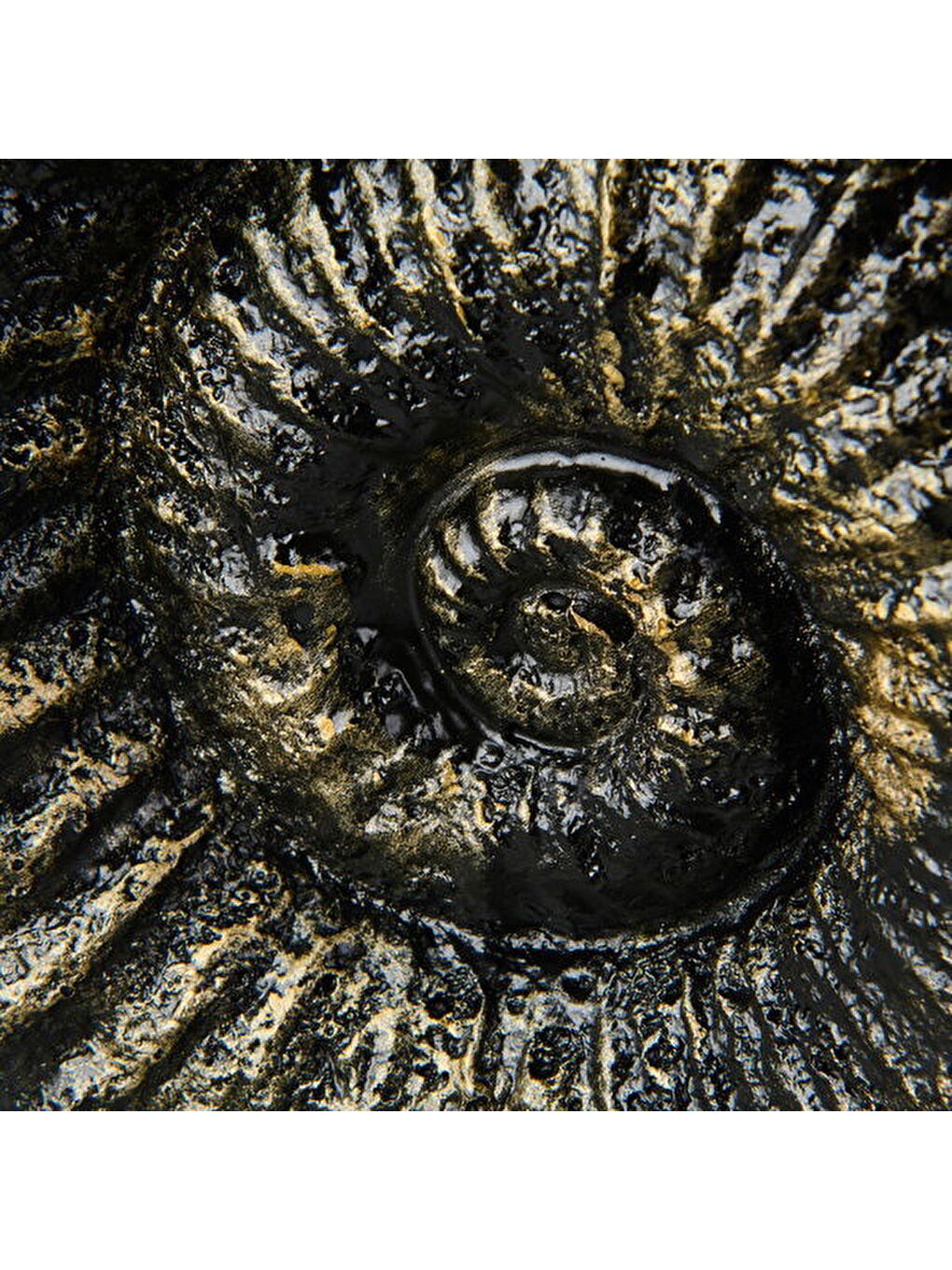 Sarı Deco Deniz Kabuğu Dekor - Gold / Siyah - 30 cm-3